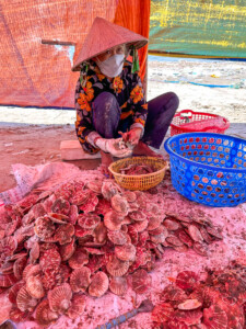 Vietnami reis ja rännak eesti keeles