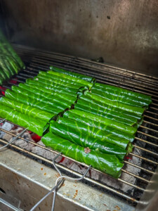 Vietnami reis ja rännak eesti keeles