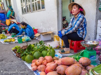 Vietnami reis ja rännak eesti keeles