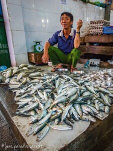 Vietnami reis ja rännak eesti keeles