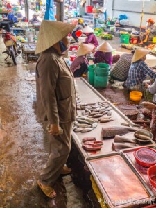 Vietnami reis ja rännak eesti keeles
