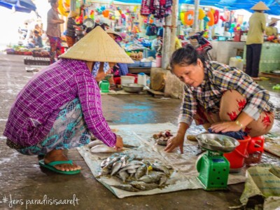 Vietnami reis ja rännak eesti keeles