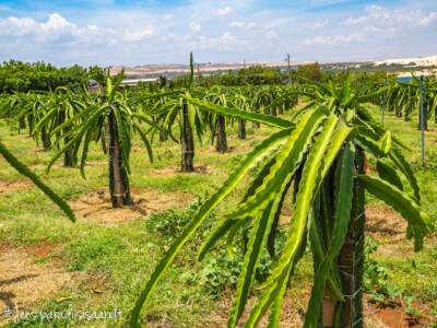 Vietnami reis ja rännak eesti keeles