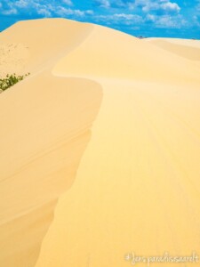 Vietnami reis ja rännak eesti keeles