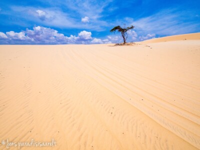 Vietnami reis ja rännak eesti keeles