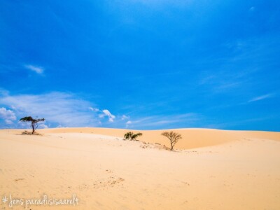 Vietnami reis ja rännak eesti keeles