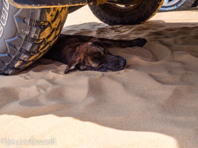 Vietnami reis ja rännak eesti keeles