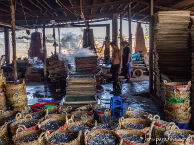 Vietnami reis ja rännak eesti keeles