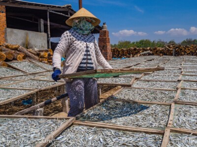 Vietnami reis ja rännak eesti keeles
