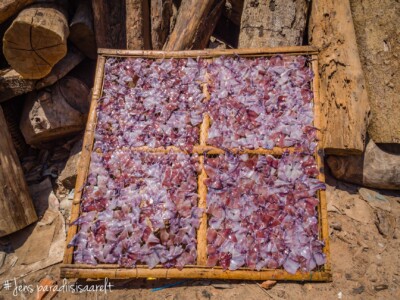 Vietnami reis ja rännak eesti keeles