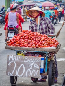 Vietnami reis ja rännak eesti keeles