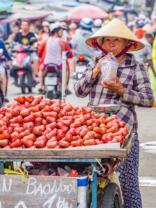Vietnami reis ja rännak eesti keeles