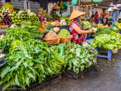 Vietnami reis ja rännak eesti keeles