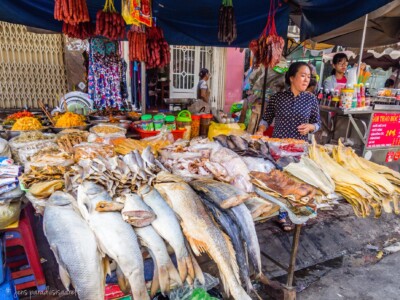 Vietnami reis ja rännak eesti keeles