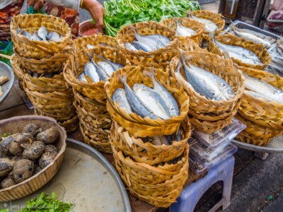 Vietnami reis ja rännak eesti keeles