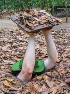 Vietnami reis ja rännak eesti keeles