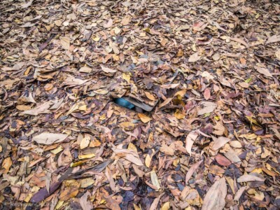 Vietnami reis ja rännak eesti keeles