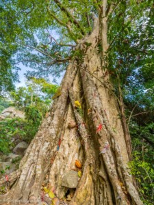 Vietnami reis ja rännak eesti keeles