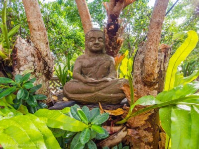 Vietnami reis ja rännak eesti keeles