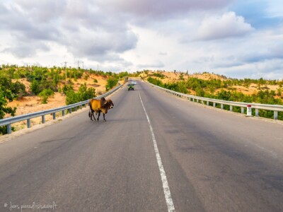 Vietnami reis ja rännak eesti keeles