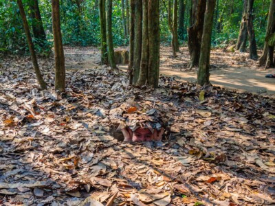 Vietnami reis ja rännak eesti keeles