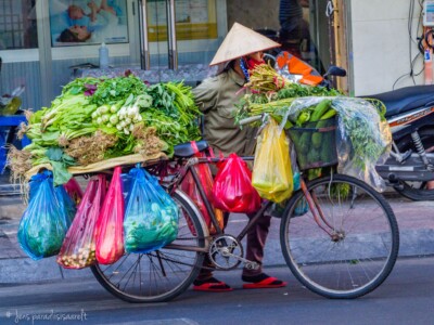 Vietnami reis ja rännak eesti keeles