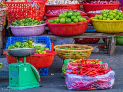 Vietnami reis ja rännak eesti keeles