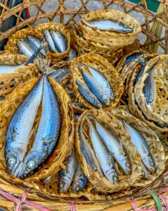 Vietnami reis ja rännak eesti keeles