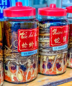 Vietnami reis ja rännak eesti keeles