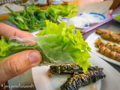 Vietnami reis ja rännak eesti keeles