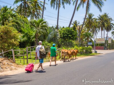 Vietnami reis ja rännak eesti keeles