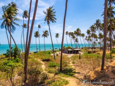 Vietnami reis ja rännak eesti keeles