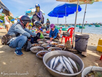 Vietnami reis ja rännak eesti keeles
