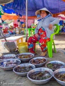 Vietnami reis ja rännak eesti keeles