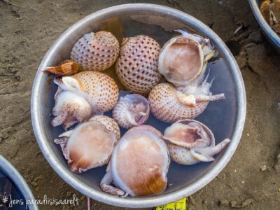 Vietnami reis ja rännak eesti keeles