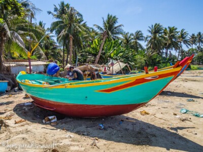 Vietnami reis ja rännak eesti keeles