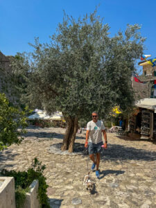 Montenegro reis ja loodusmatk - Old Bar